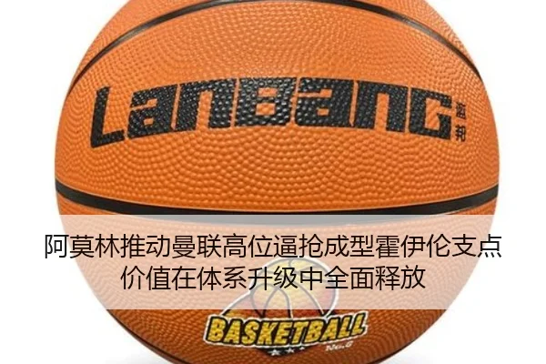 img_1783352624976_755_1_856.jpg